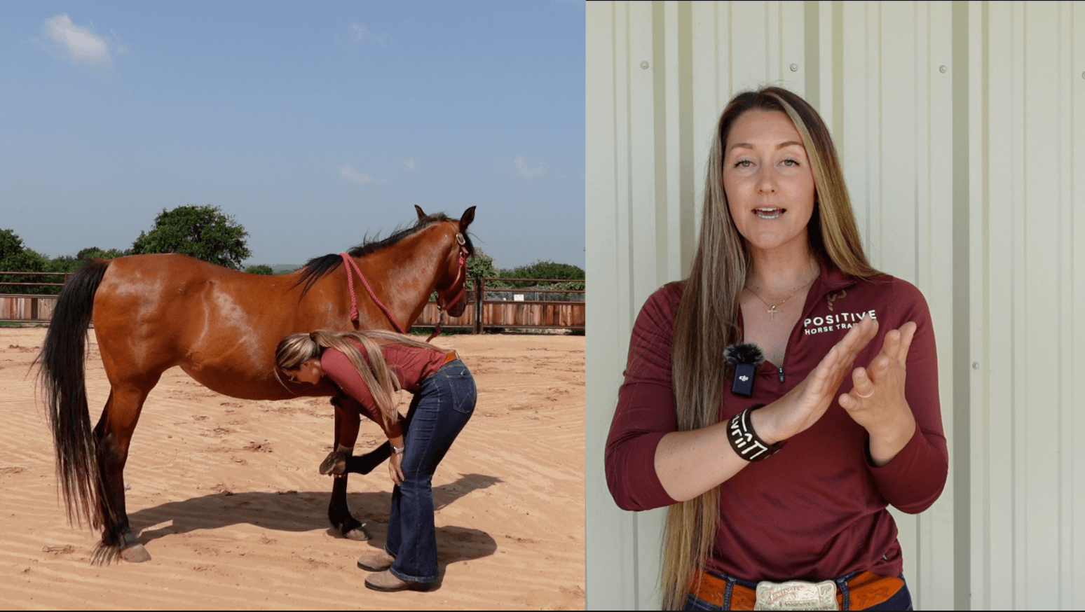 Course screenshot: Marina picks up a bay horse's hoof while explaining on camera