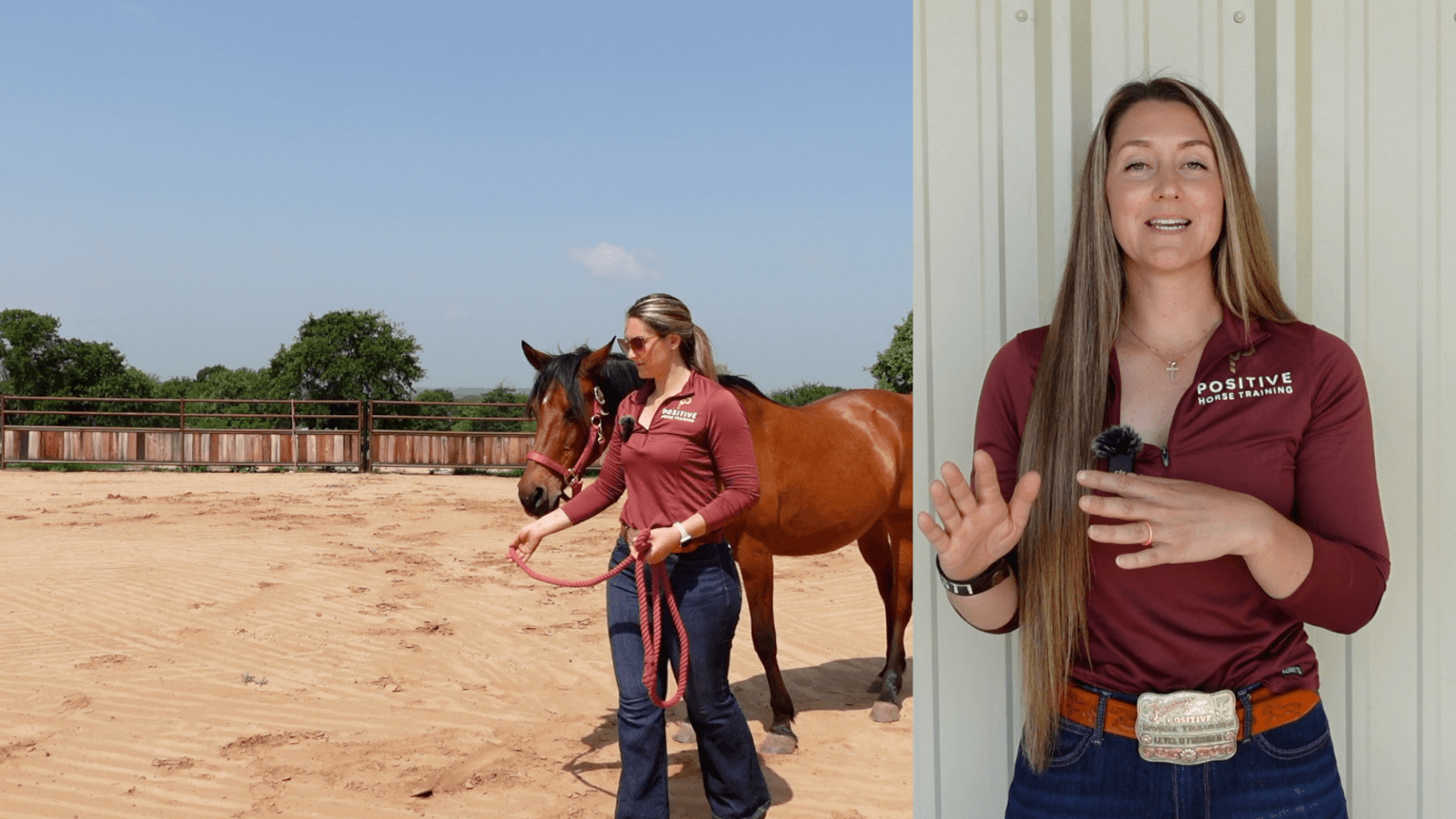 Course screenshot: Marina leads a bay horse on a lead rope while explaining on camera