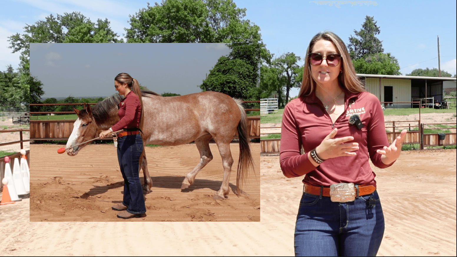 Course screenshot: a roan horse follows a target stick while Marina explains on camera
