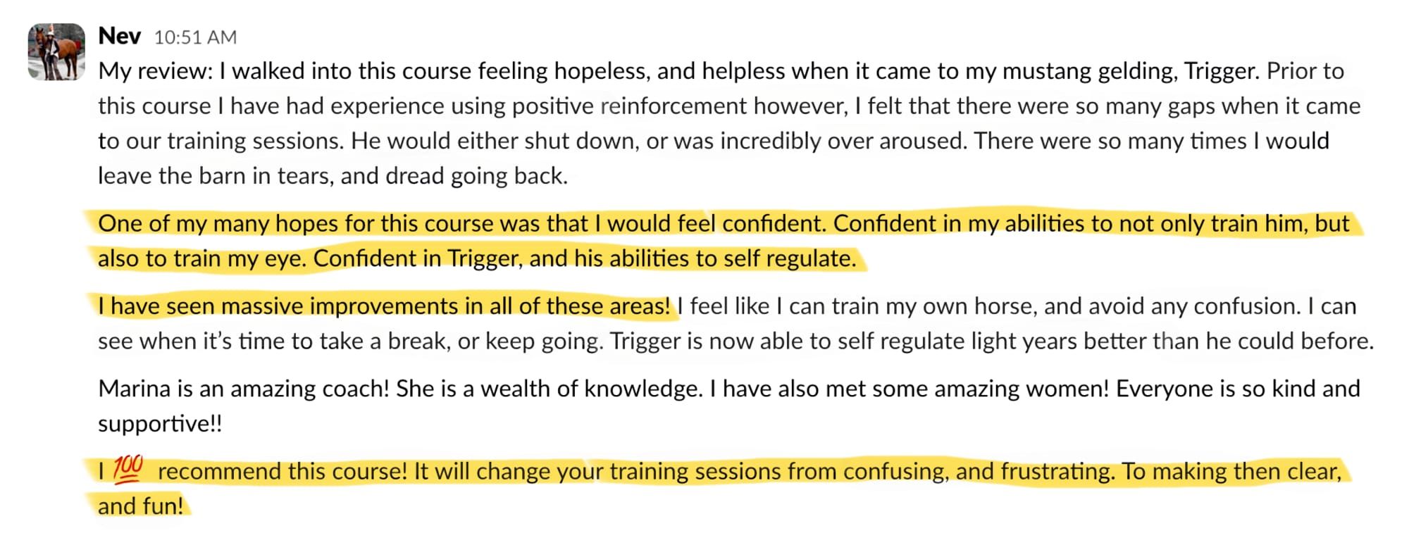Student feedback from a Positive Horse Training student