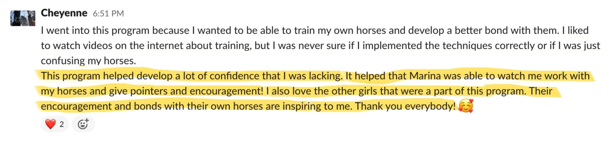 Student feedback from a Positive Horse Training student