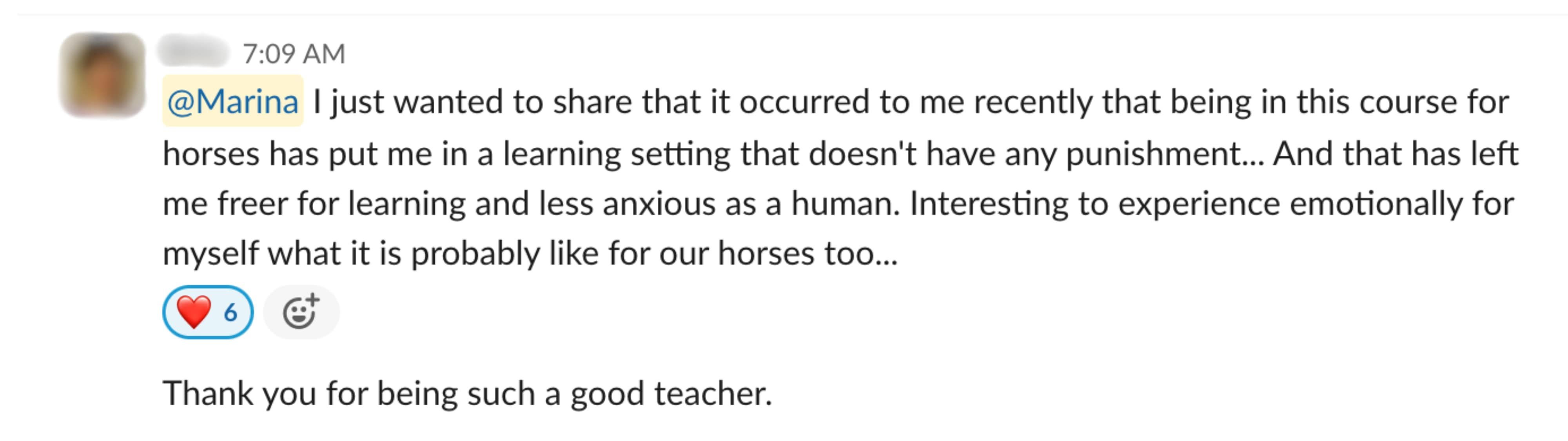 Student feedback from a Positive Horse Training student