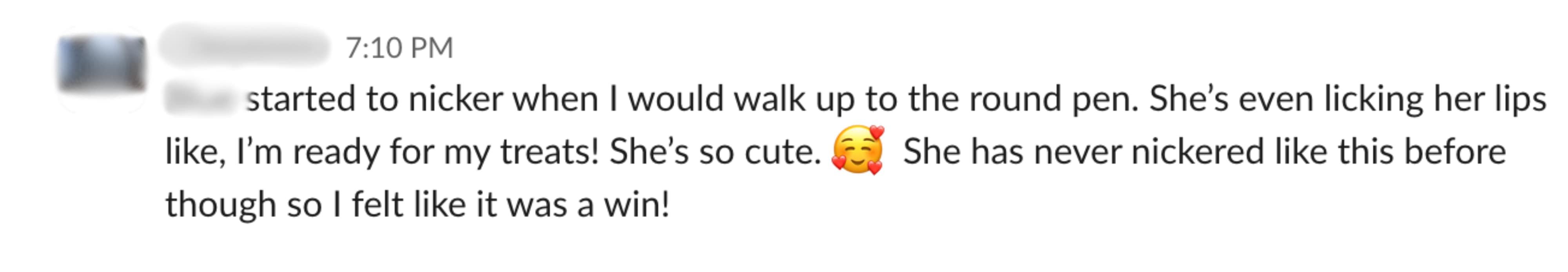 Student feedback from a Positive Horse Training student