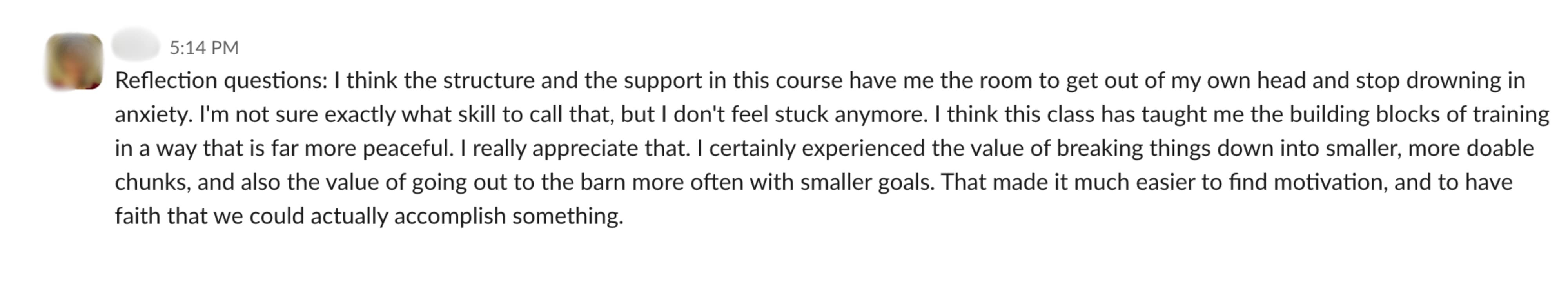 Student feedback from a Positive Horse Training student