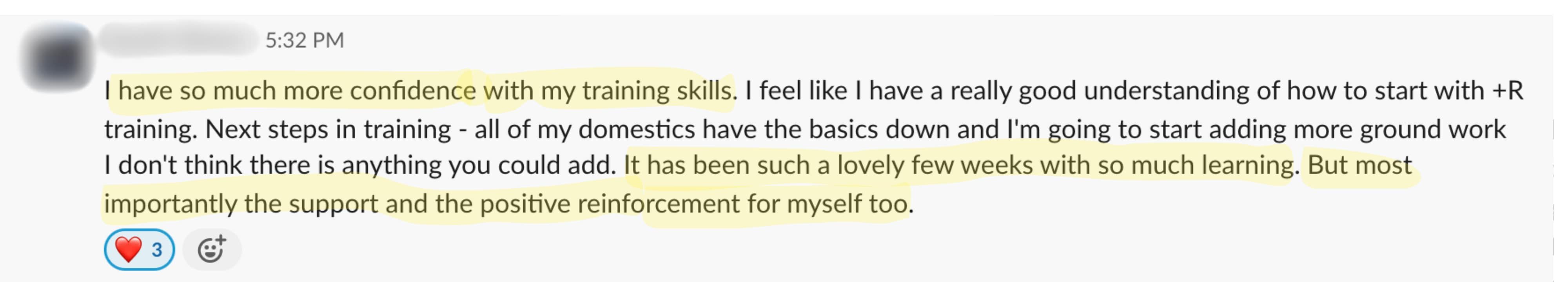 Student feedback from a Positive Horse Training student
