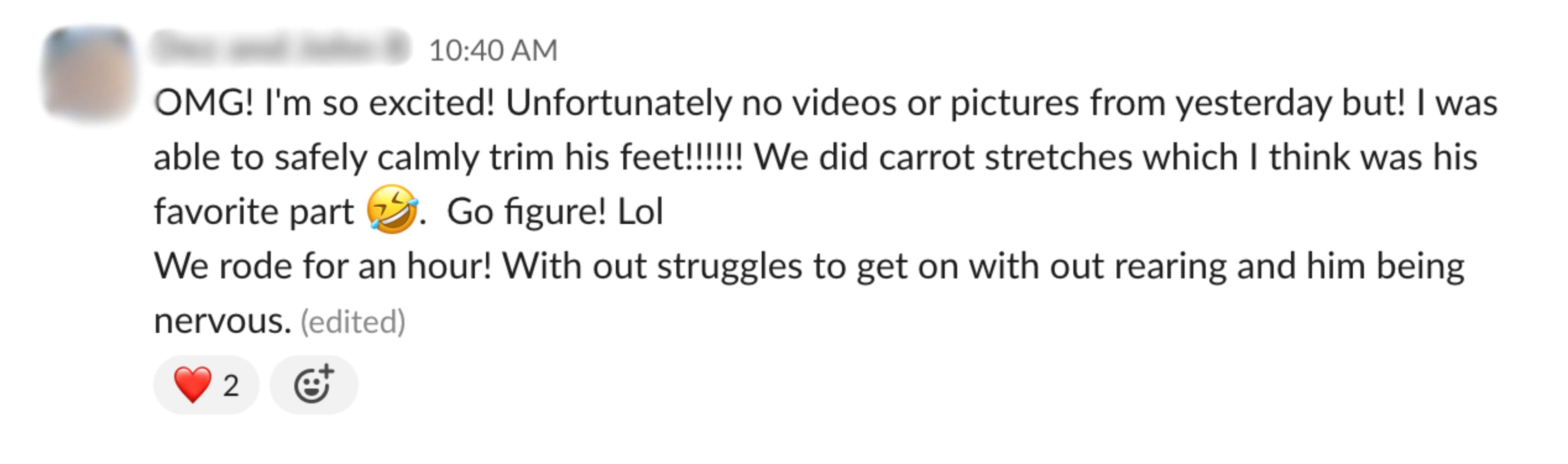 Student feedback from a Positive Horse Training student