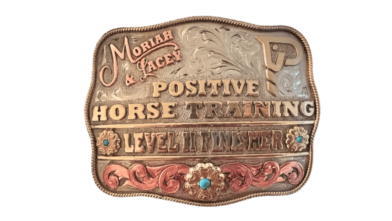 Positive Horse Training Finisher belt buckle, engraved silver with copper scrollwork and turquoise accents
