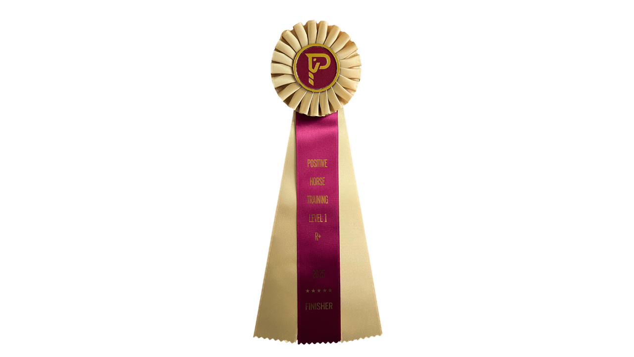 Positive Horse Training R+ Finisher's Ribbon, a gold rosette with a magenta center ribbon